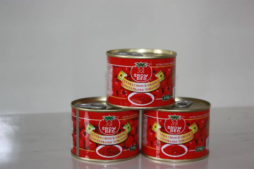 Pasta de tomate 210g×48 - EO/HO - pasta de tomate 1-23