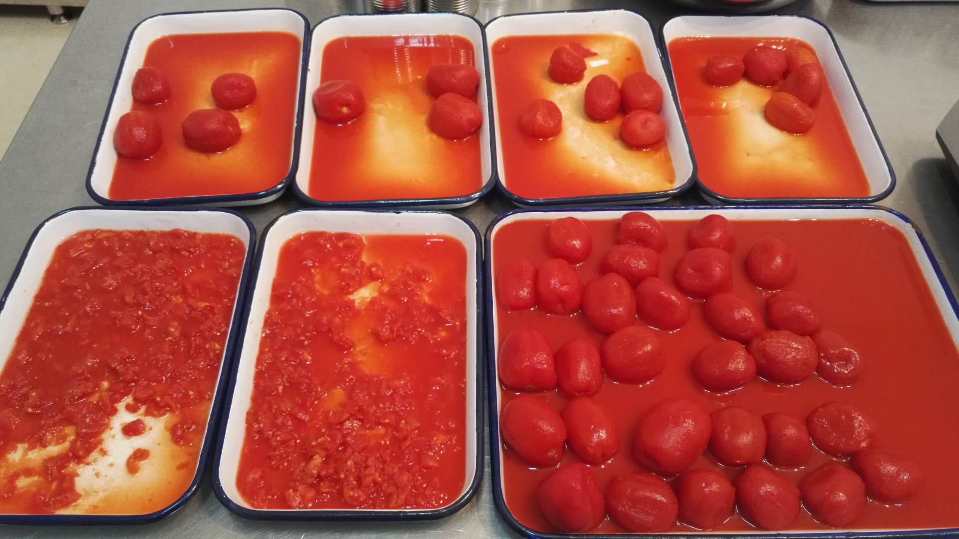 Tomates em cubos em lata 400g,800g,2500g,2850g